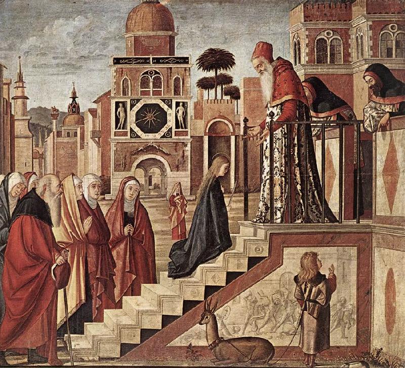 CARPACCIO, Vittore The Presentation of the Virgin fdg